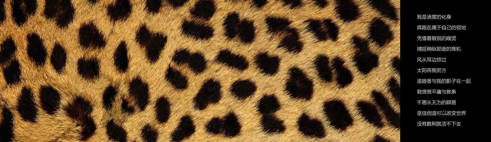 哈爾濱包裝設計