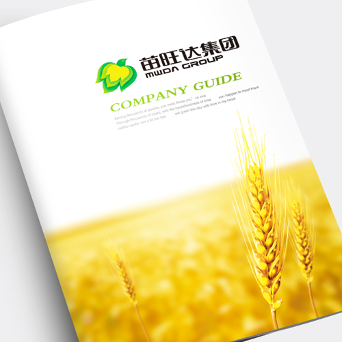 哈爾濱包裝設計、哈爾濱VI設計